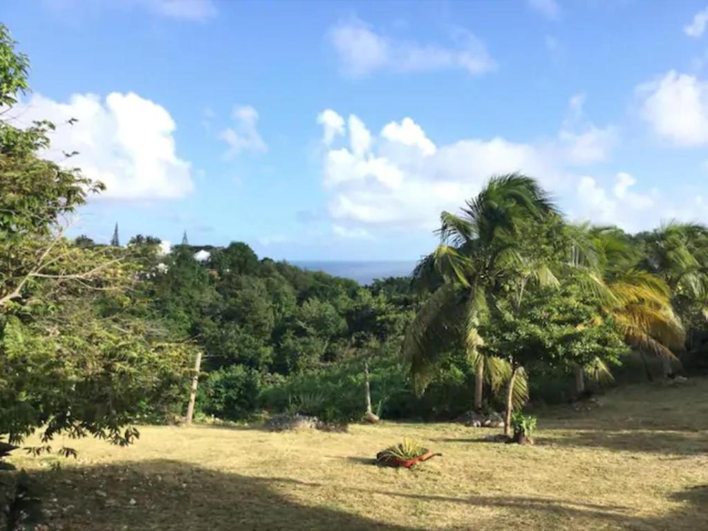 een uitzicht op een veld met palmbomen en de oceaan bij Au Gré des Alizés - Kaz Ti Plézi in Cadet