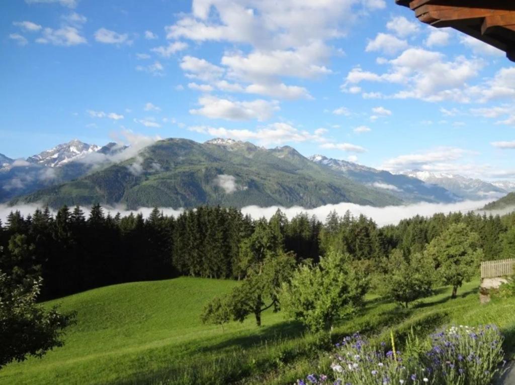 Fotografia z galérie ubytovania Bergbauernhof Seetalhof v destinácii Hollersbach im Pinzgau