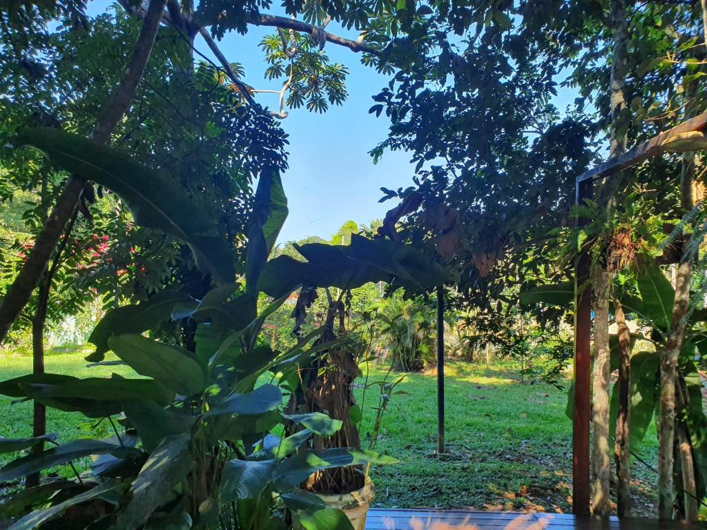  Casa da arvore pvh