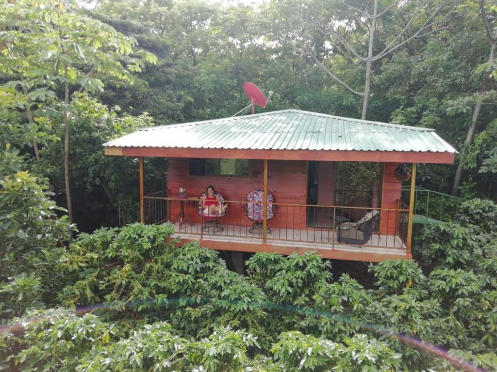 a tree house with a red bird on top of it at Rancho de Lelo Ecolodge in Monteverde Costa Rica