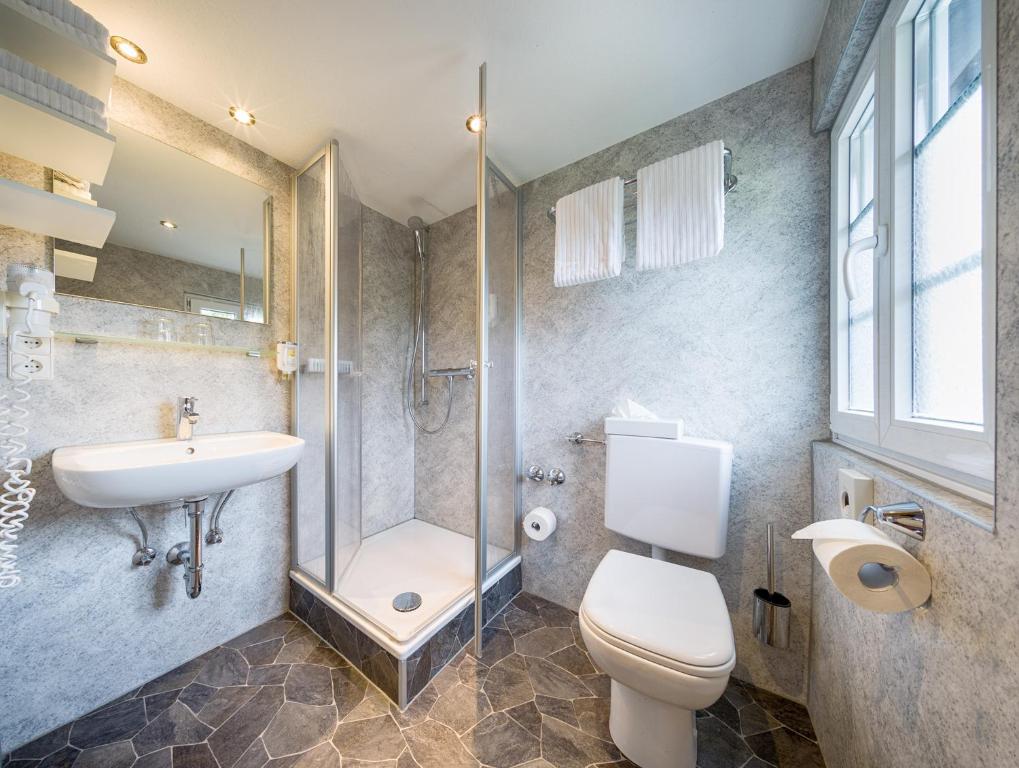 Koupelna v ubytování Hotel Zum Löwen - Unteres Wirtshaus