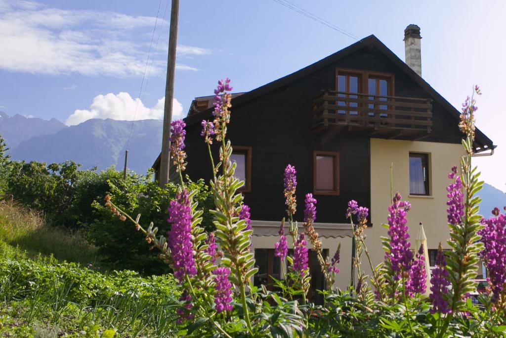Příroda nedaleko apartmánu