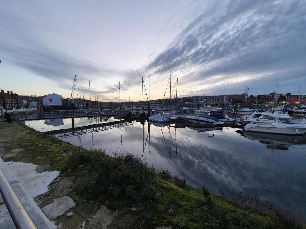 a group of boats are docked in a harbor at Marina House in Whitby