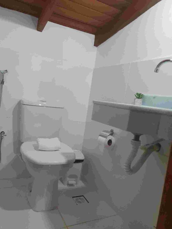  Experimente Paraty