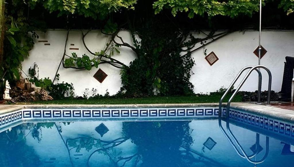 a swimming pool with a tree in the background at Villa Albaida in La Zubia