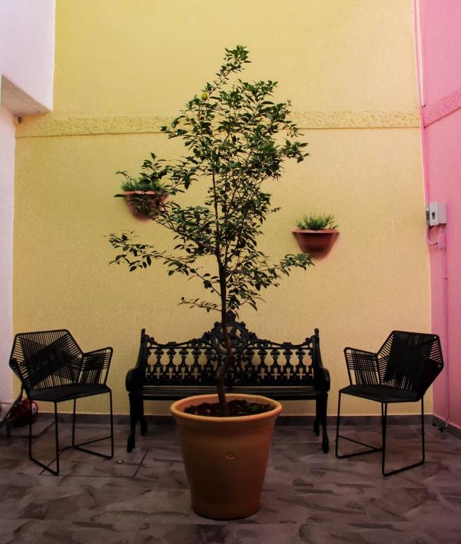 Posezení v ubytování Suites Bajío