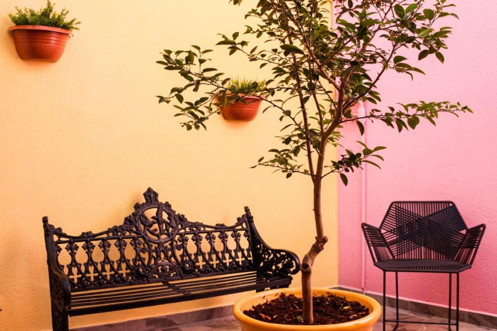 Zahrada ubytování Suites Bajío