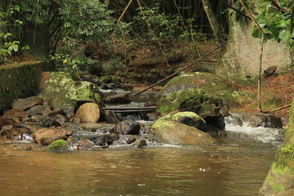  Suíte Cachu em meio à Natureza - Cocaia135