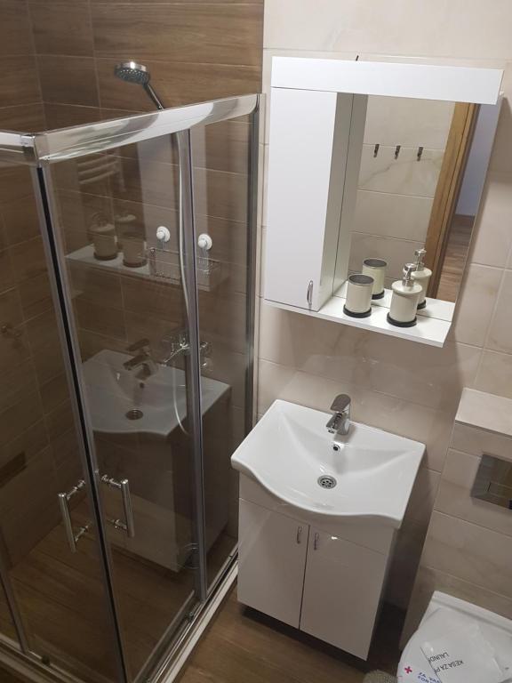 Un baño con ducha y lavabo blanco. en Pinevile apartman 4, en Zlatibor