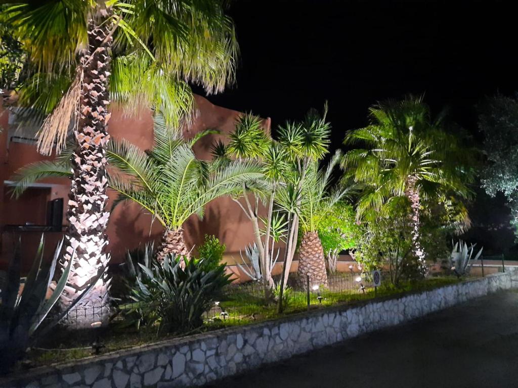 Zahrada ubytování Hotel Palme Gemelle