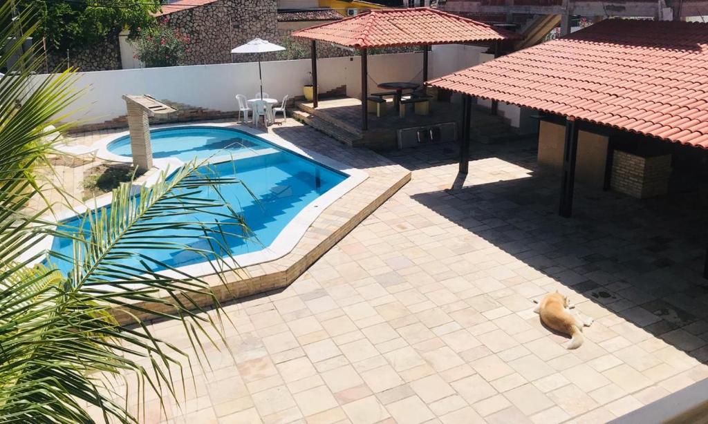 eine Aussicht auf einen Pool mit einer Katze daneben in der Unterkunft Casa temporada Tamandaré Carneiros in Tamandaré