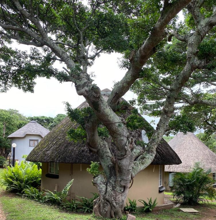 Ferienwohnung Anchors Aweigh (Südafrika Hibberdene)