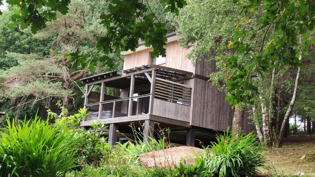 a tree house in the middle of a forest at Spalazen Nature in Palazinges