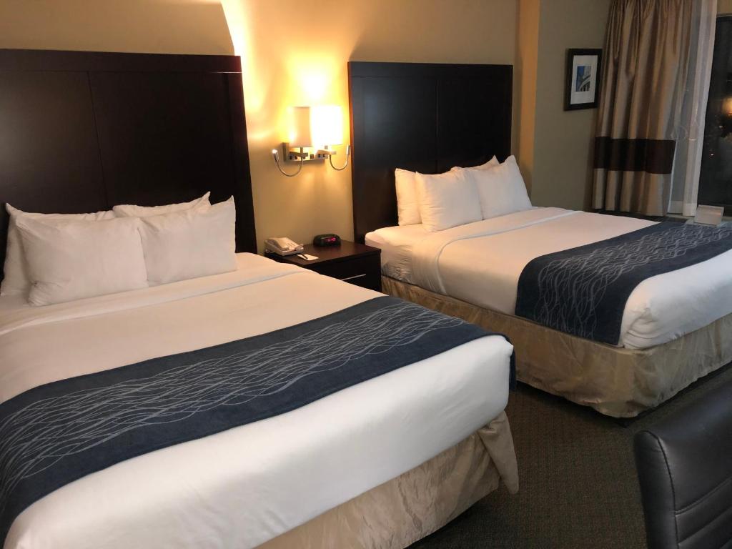 Comfort Inn Pentagon City - Tweepersoonskamer Met Twee Dubbele Bedden En Bad - Toegankelijk/niet Roken