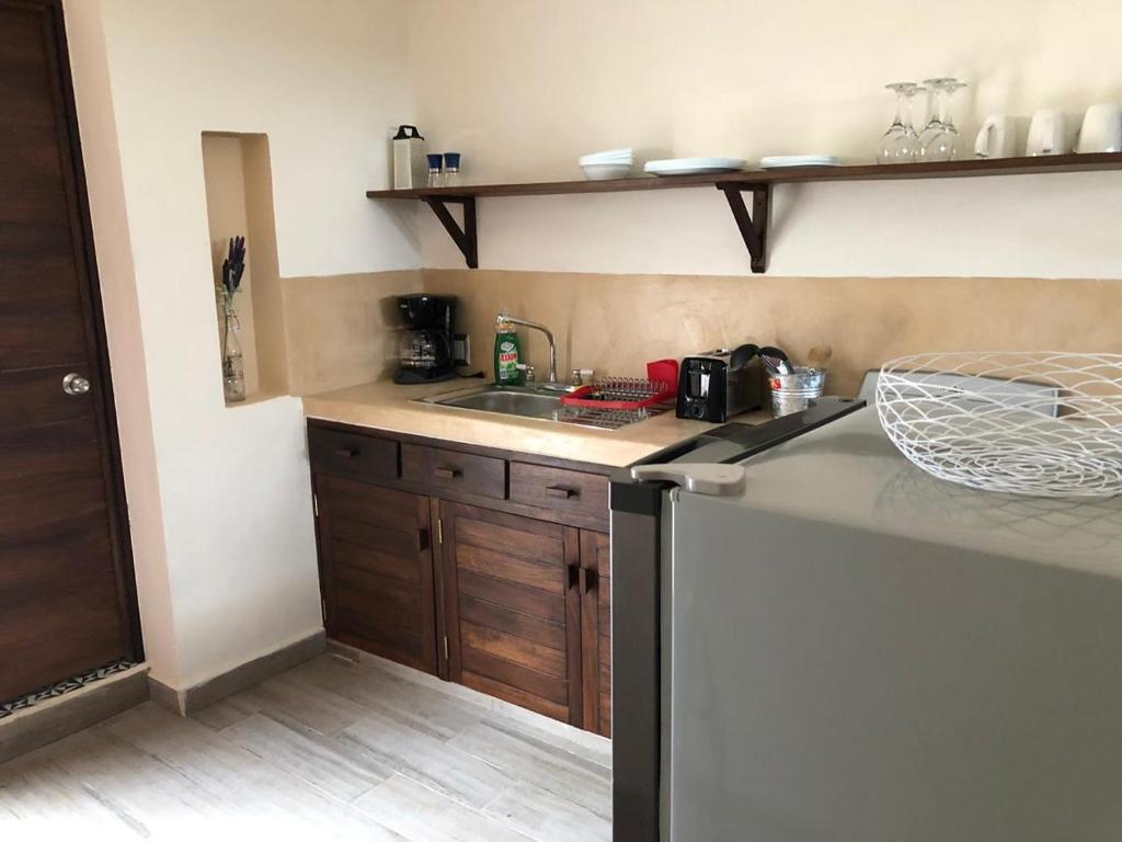 Kuchyň nebo kuchyňský kout v ubytování Hotel Sur Bacalar