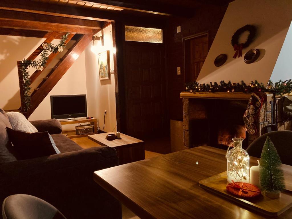 TV a/nebo společenská místnost v ubytování Planinska Koliba Sekulić