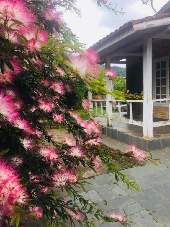  casa de praia-maresias