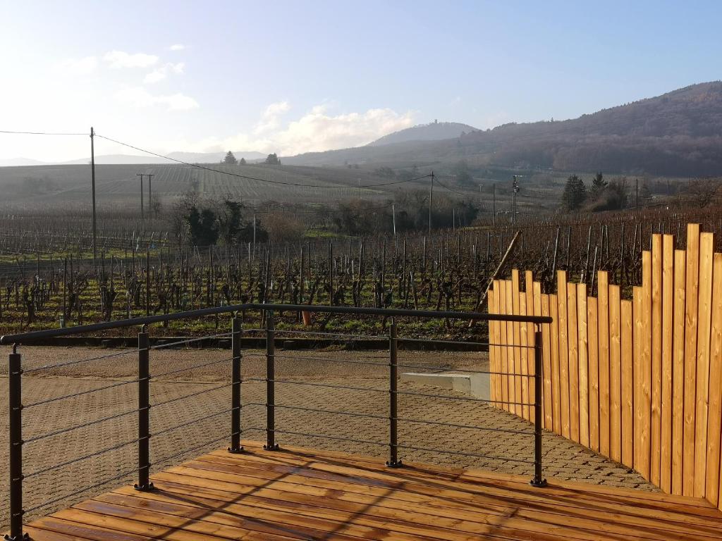 Cocon de caractère au cœur des vignes Alsaciennes – photo 26