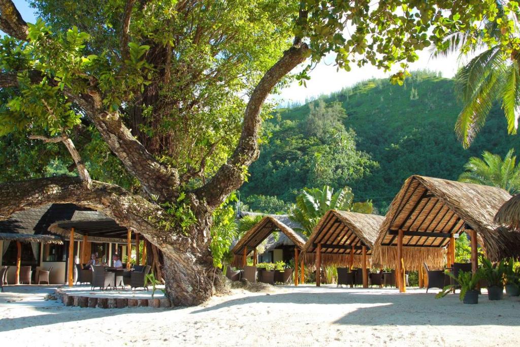 Hotel Le Mahana, Parea - photo 7 - Huahine, Polynésie
