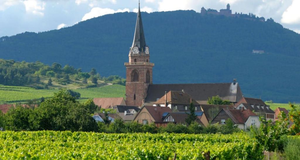 Cocon de caractère au cœur des vignes Alsaciennes – photo 40