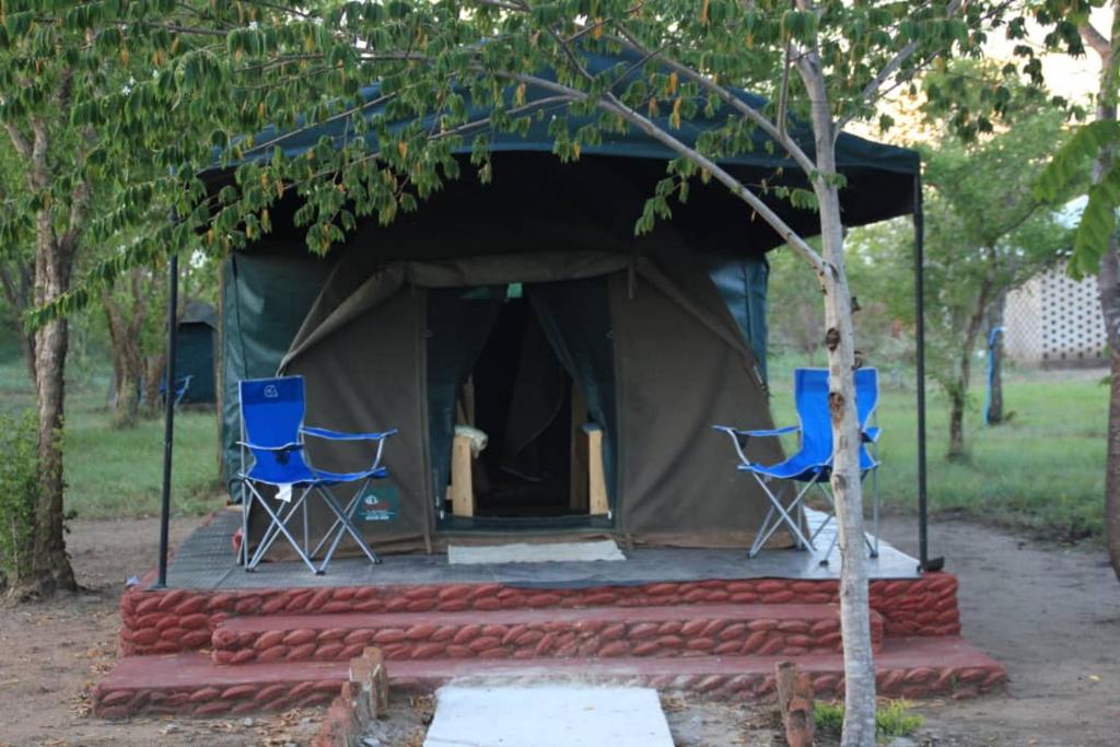 two blue chairs sitting in front of a tent at Mikumi Faru Tented Camp in Morogoro