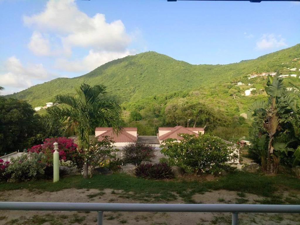 vista su una casa con una montagna sullo sfondo di 2 bedrooms house with sea view furnished garden and wifi at La Savane 2 km away from the beach a Happy Bay