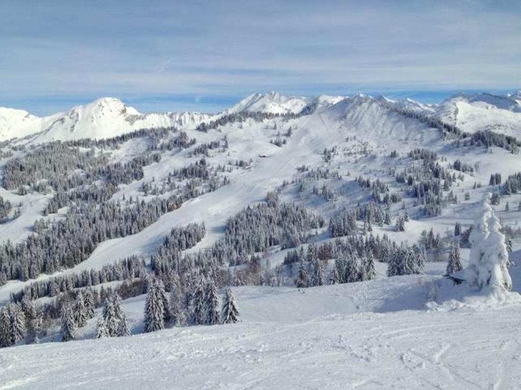 een besneeuwde berg met bomen en besneeuwde bergen bij Studio a Les Gets a 300 m des pistes avec jardin et wifi in Les Gets