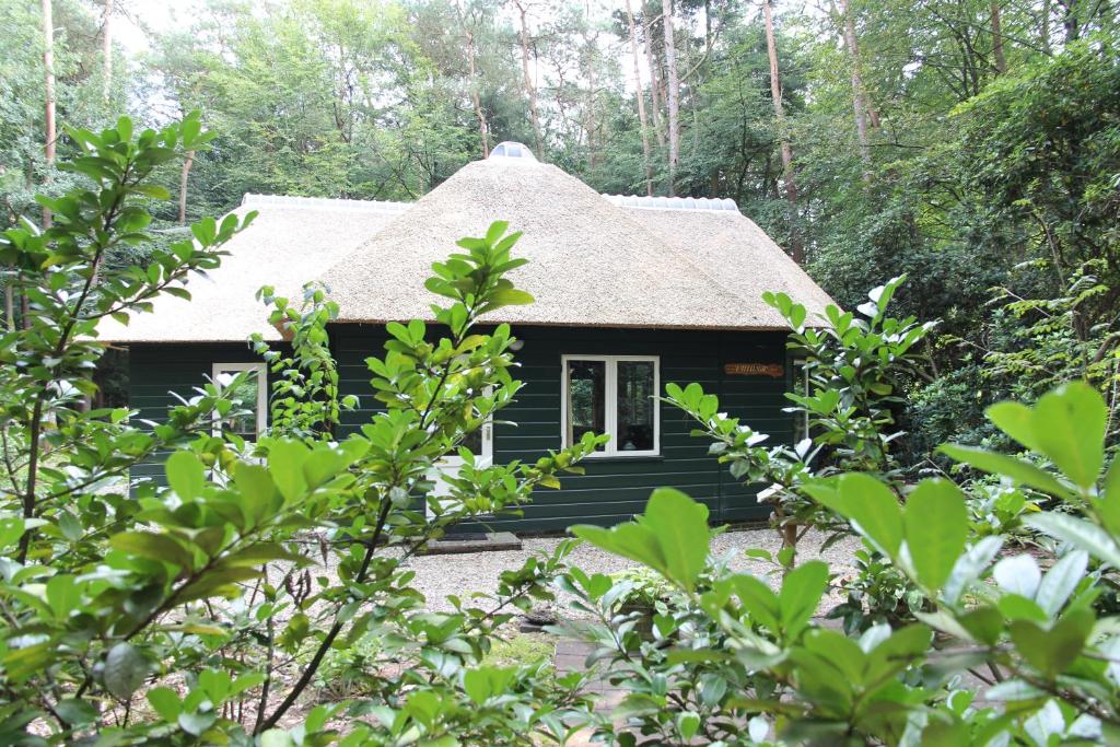 een zwarte hut in het bos met bomen bij Vakantiehuis 't Musje in Epe