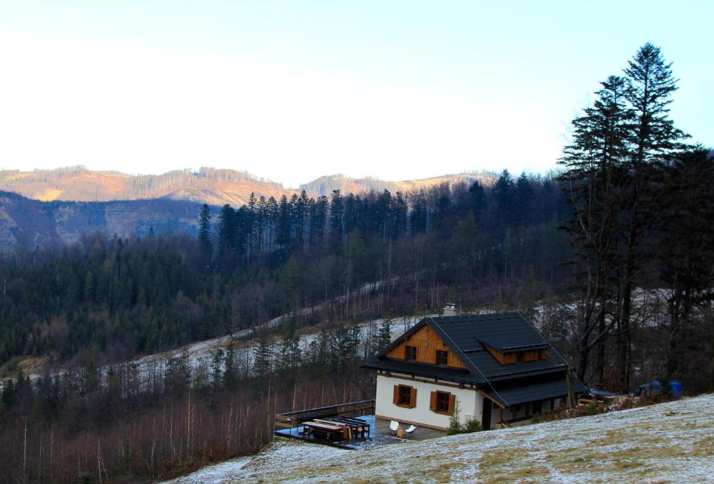 Príroda v okolí horskej chaty