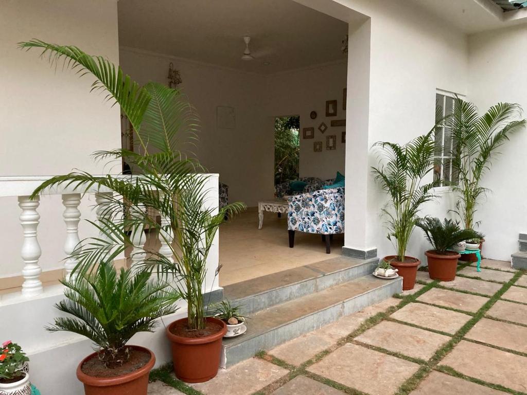 Zahrada ubytování BaywoodGoa -200 meters from Morjim Beach