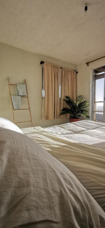 Letto o letti in una camera di Sudeste Hostel