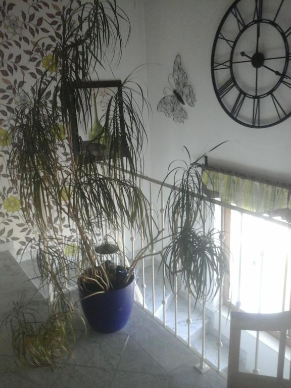 Fotografie z fotogalerie ubytování Appartment Andrea v destinaci Eugendorf