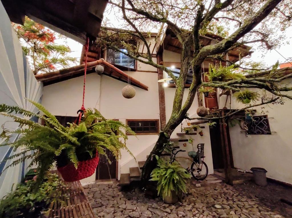  apartamento na Árvore