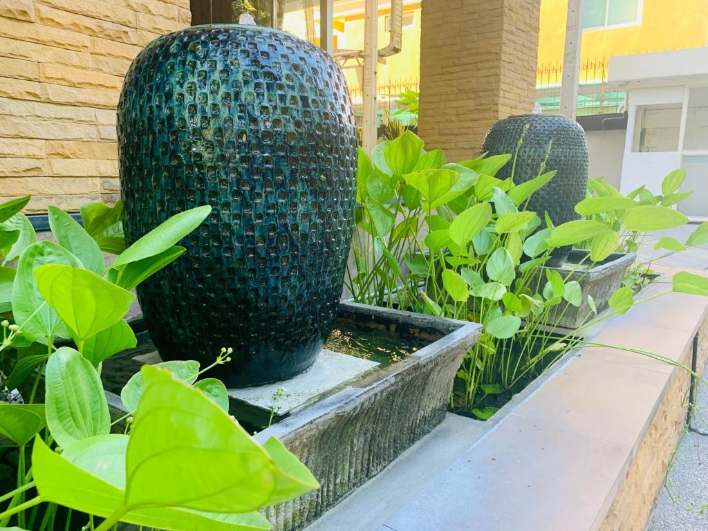 Royal View Resort - Rang Nam - Resim 14