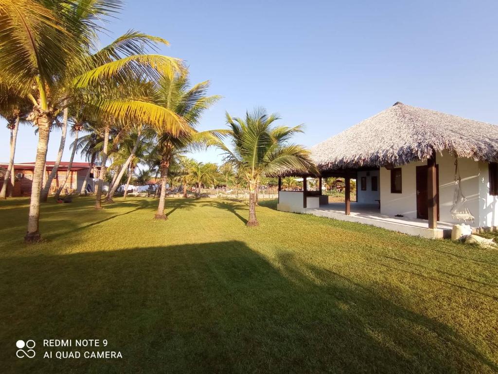 un patio con palmeras y un edificio en Pousada Eureka, en Atins