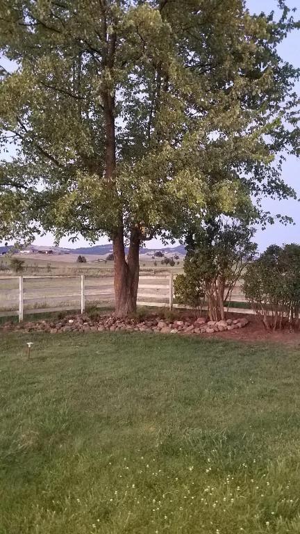 Zahrada ubytování Applinger Farm