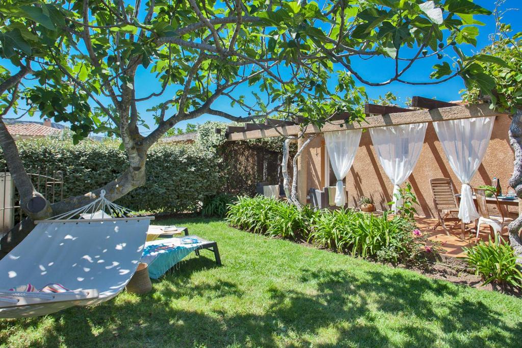 einen Hinterhof mit einer Hängematte und einem Baum in der Unterkunft maison kiwi avec piscine chauffée terrasse jardin et bbq à Calvi in Calvi