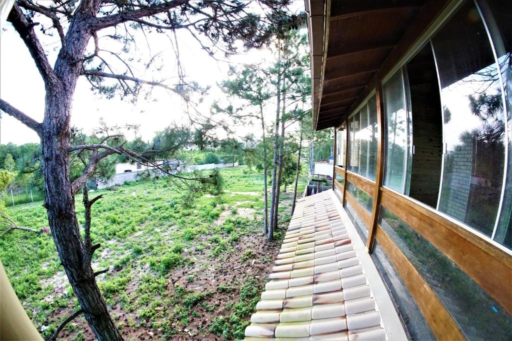  Surf Skate Konig House