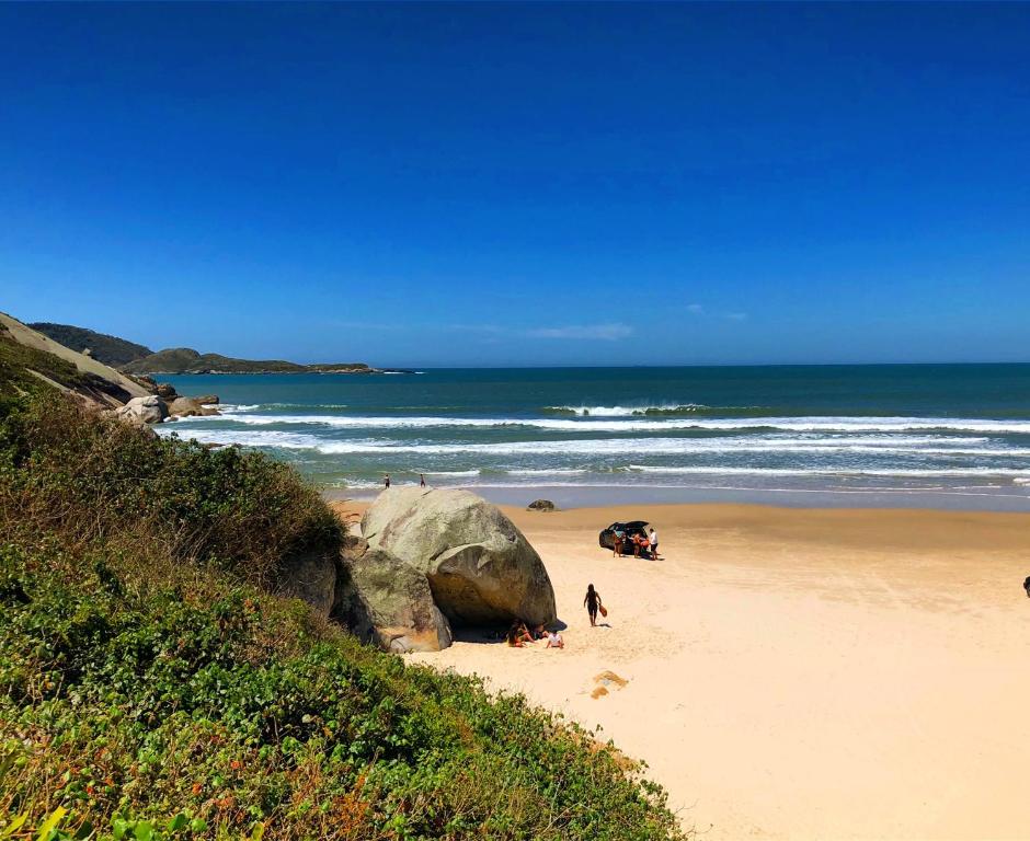  Surf Skate Konig House