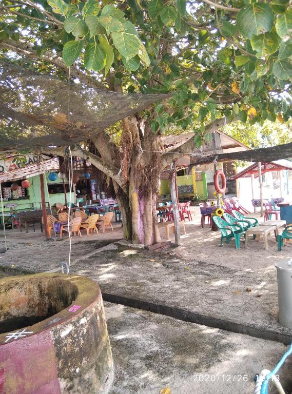 Fotografie z fotogalerie ubytování pulau weh sabang marifi v destinaci Paya