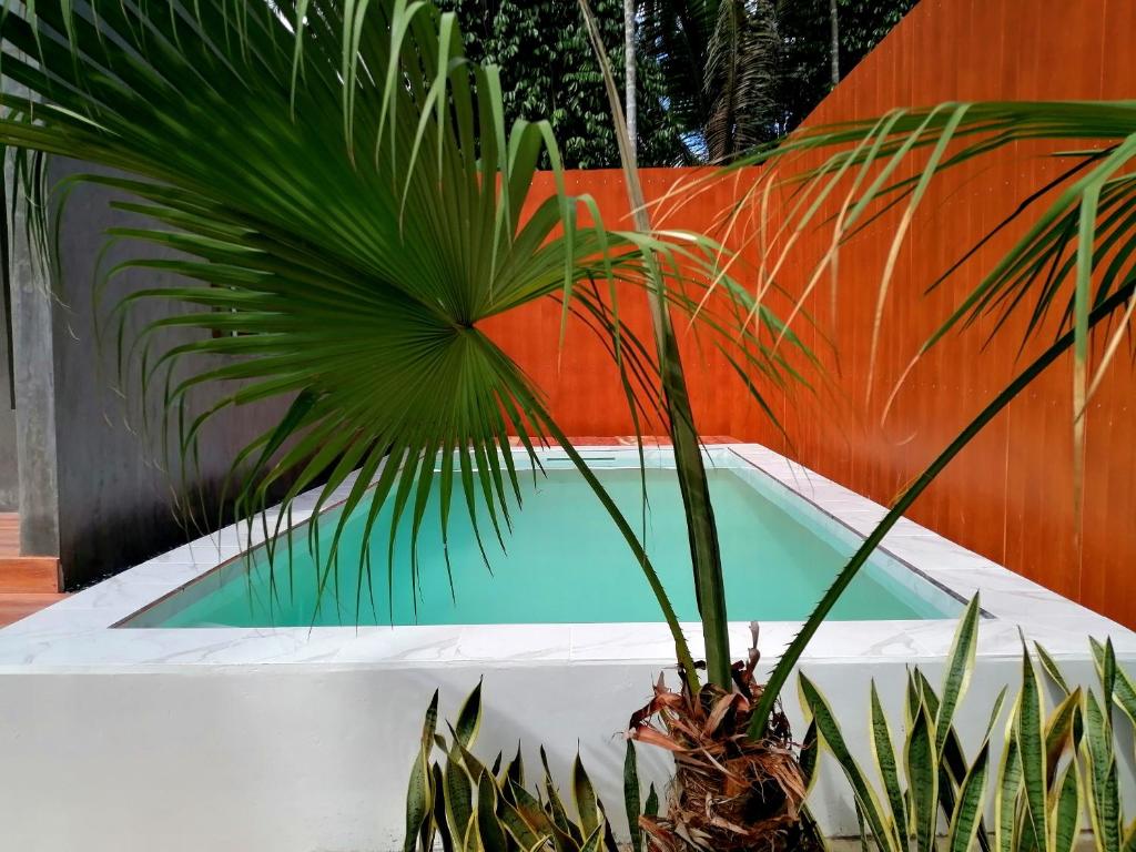 Anita dream house - 1