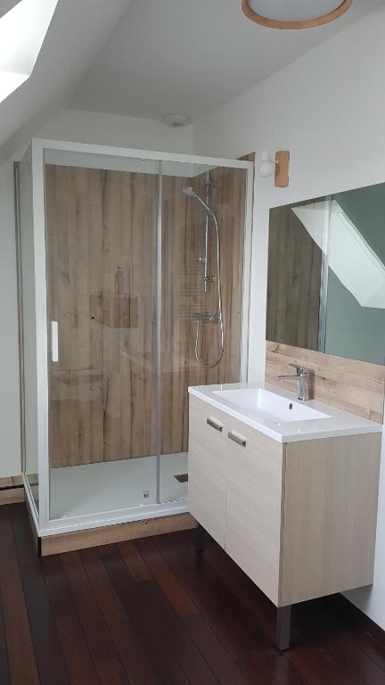 a bathroom with a shower and a sink at Granne de Lin étage in Tourville