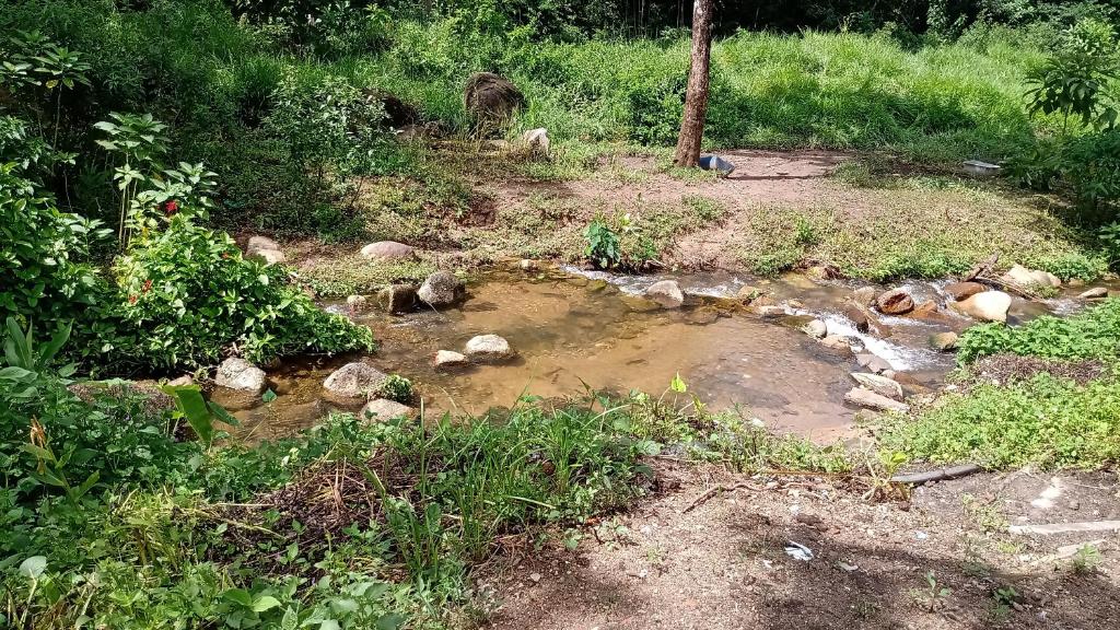  Pesqueiro Rancho fundo