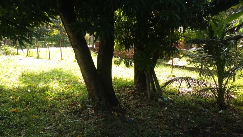  Casa para aluguel em Salinópolis/PA