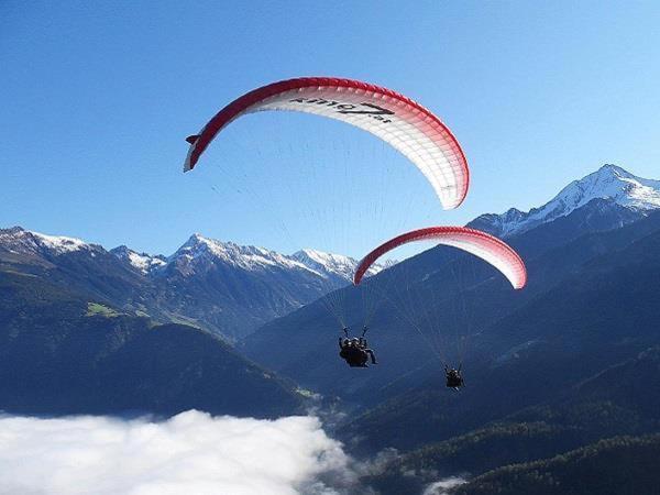 Hostia v ubytovaní Royal Swan Appartement, Tirol