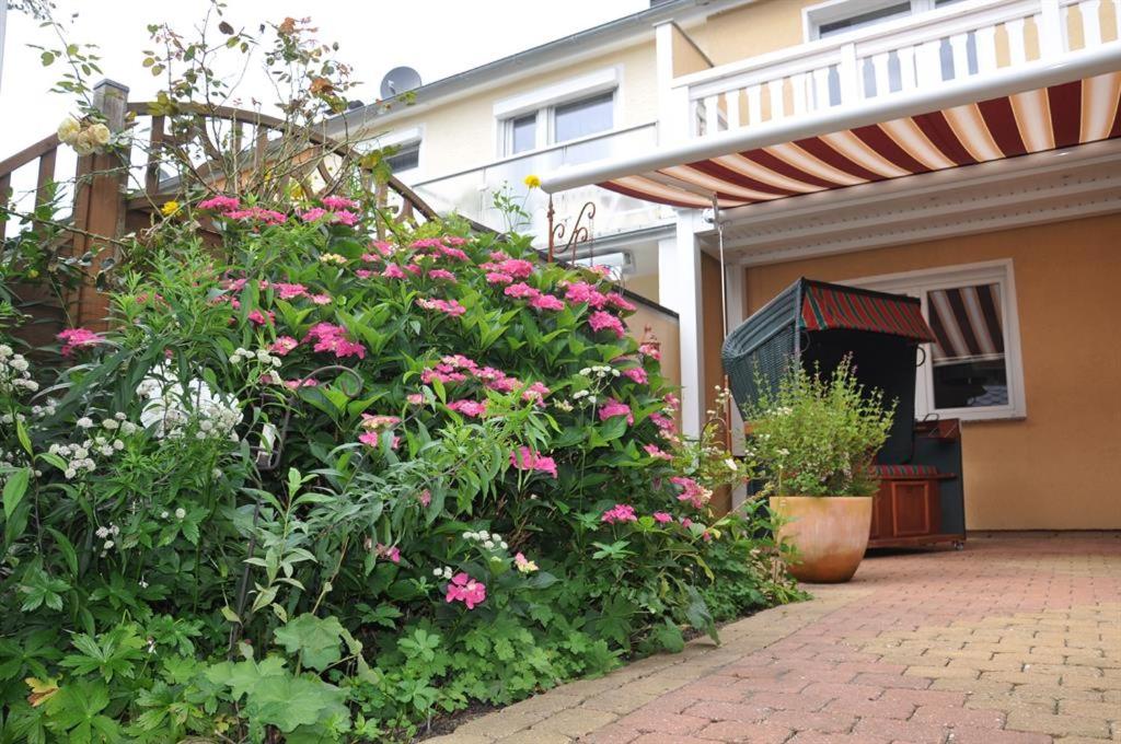 Zahrada ubytování Ferienhaus Kunas