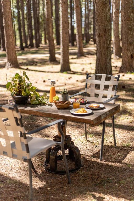 Fotografie z fotogalerie ubytování Cabañas en el Bosque a 5 minutos del mar - Estancia CH v destinaci Punta del Este