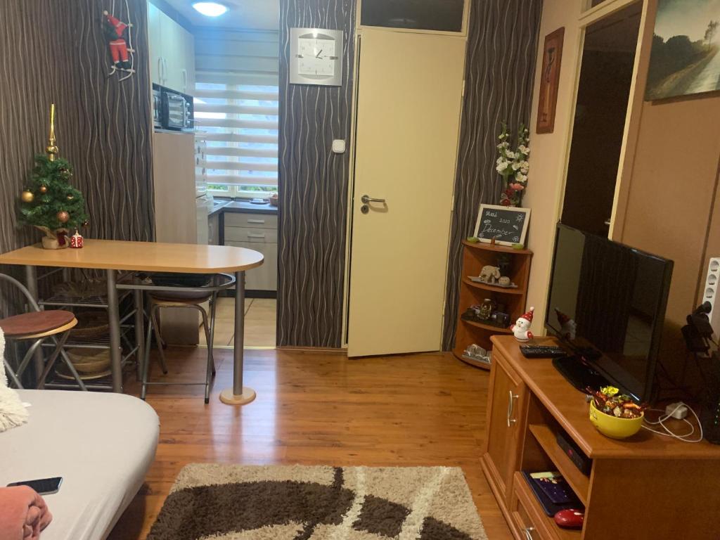 Televízia a/alebo spoločenská miestnosť v ubytovaní Gunarasi villa jacuzzival