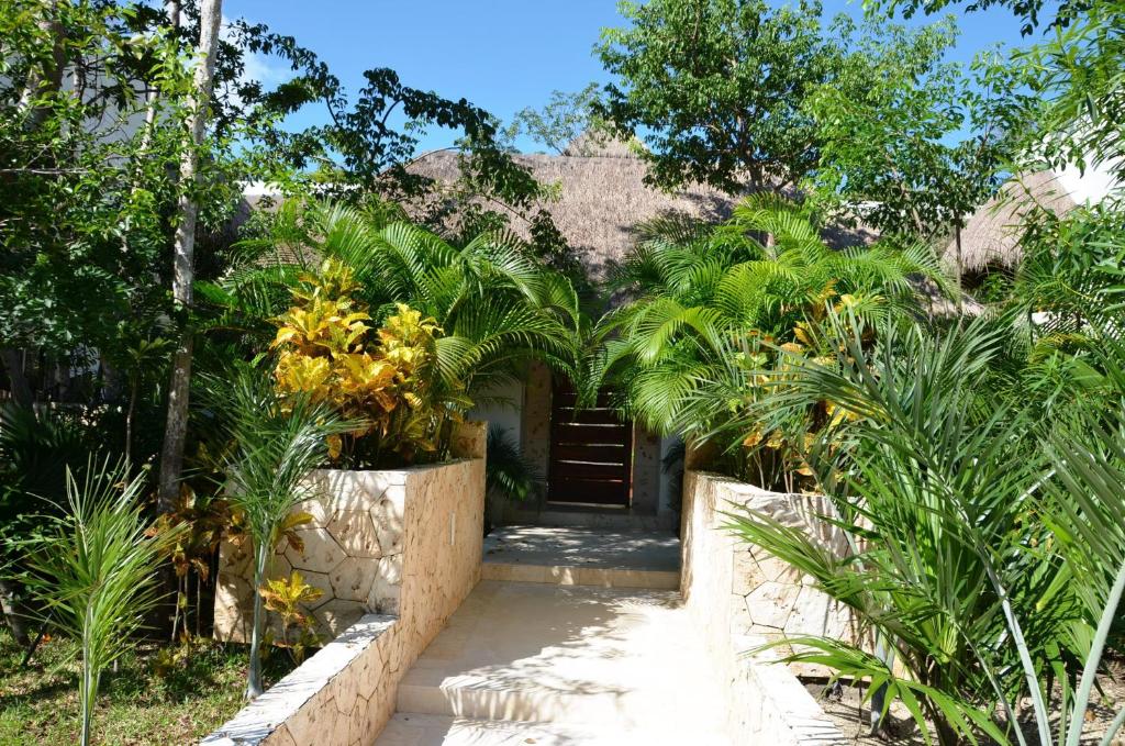 Градина пред Stay in Tulum!