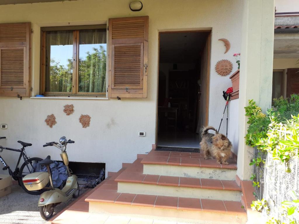 a dog sitting on the door of a house with a scooter at La Casa di Berenice a Porto Azzurro in Porto Azzurro